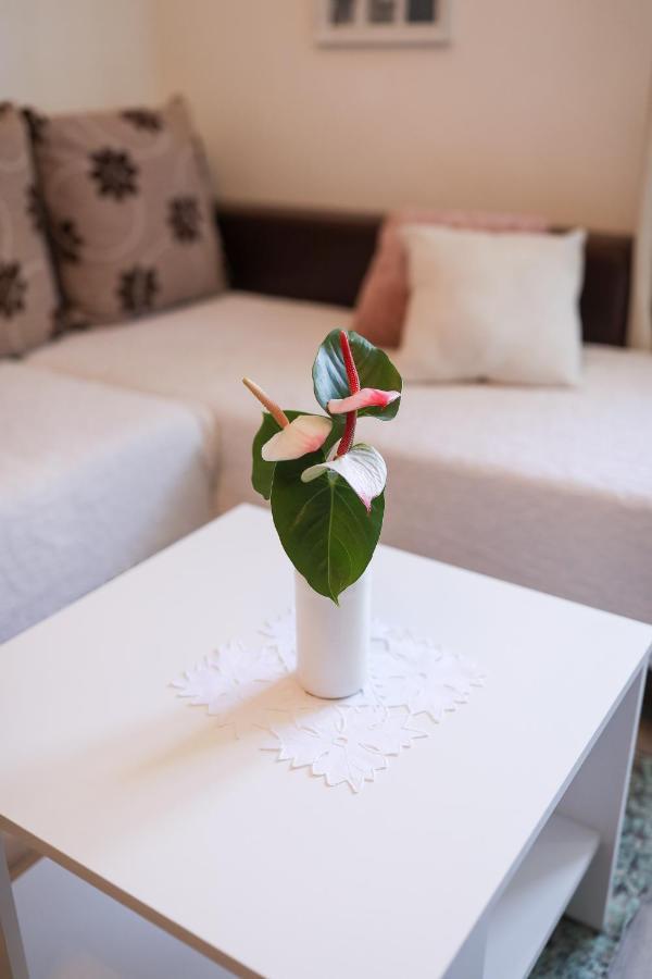 Apartment Rita Zadar Zewnętrze zdjęcie
